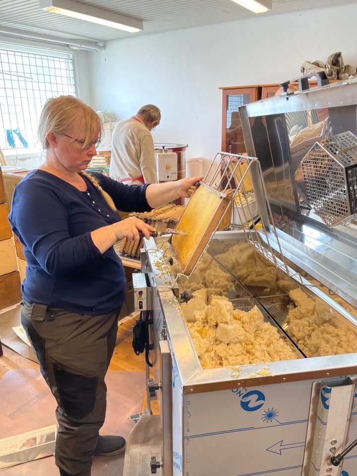 02 453042608 10231872023773843 1822579811617940083 n InPixio