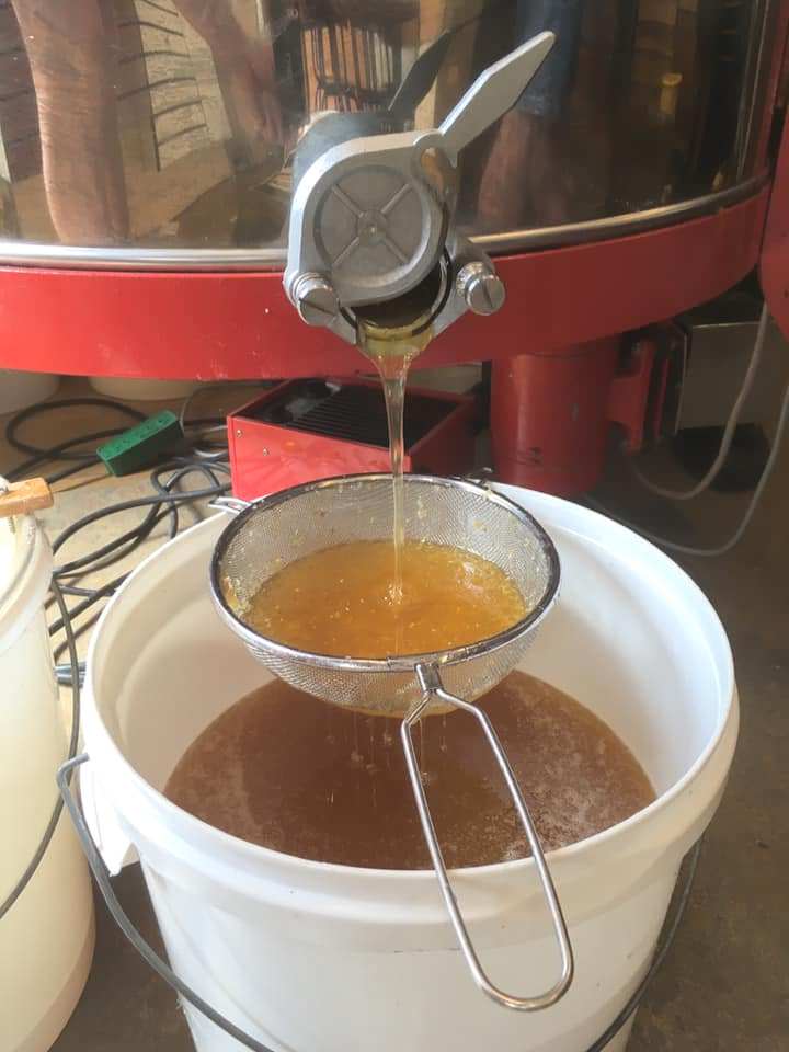 08 453042600 1023109872023173828 3335445179572989233 n InPixio